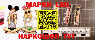 эйфоретик Гай
