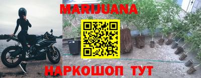 меф Гатчина