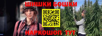 меф Гатчина