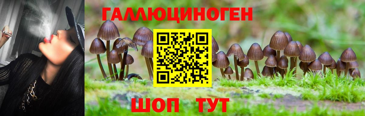 Кунгур  Псилоцибиновые грибы прущие грибы  Вход с VPN 